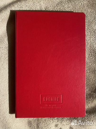 Agile ежедневник Космос