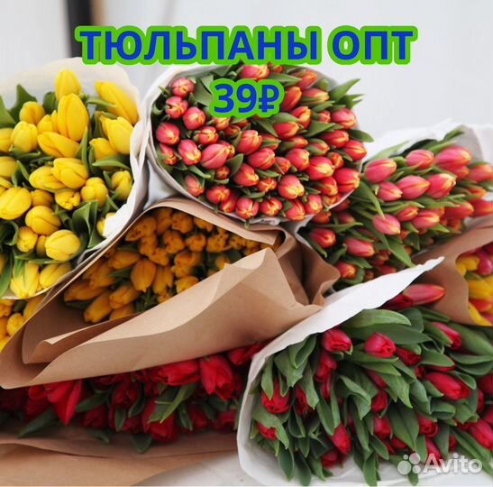 Тюльпаны опт Доставка цветов 101 51 25 тюльпан