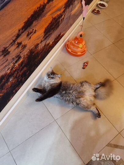 Котик для вязки