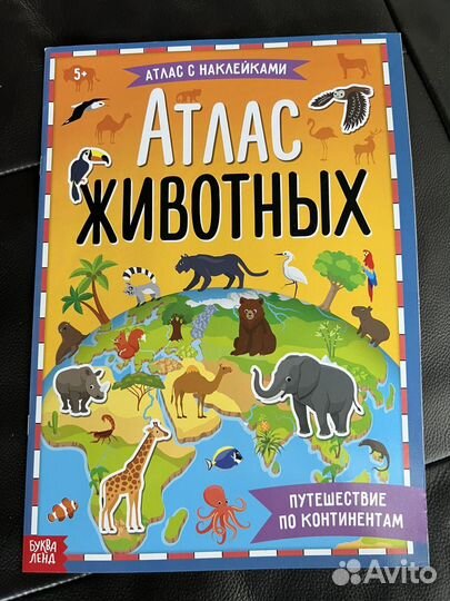 Развивашки для детей