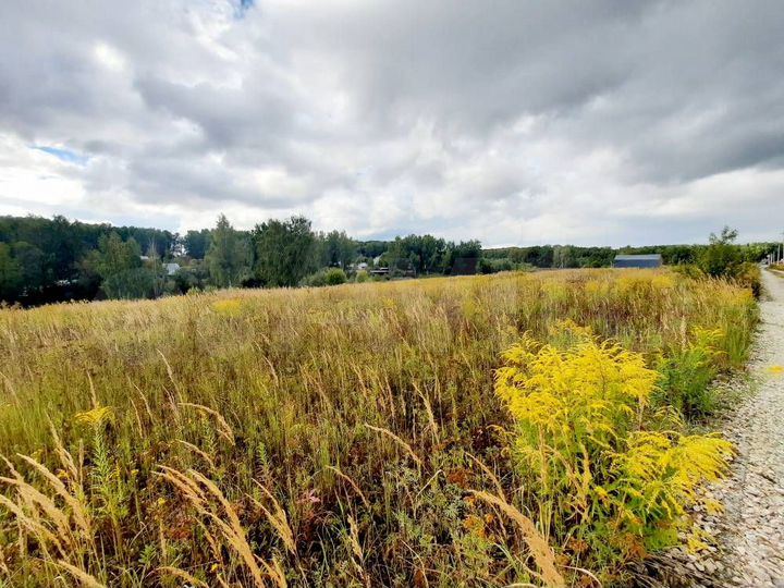 Участок 13 сот. (ИЖС)