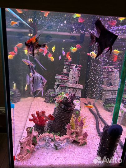 Аквариум