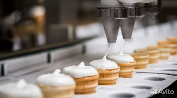 Производство мороженого по уникальным технологиям