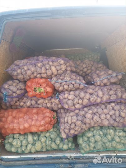 Продам картофель