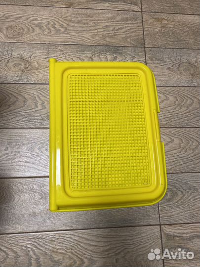 Лоток для собак декоративных пород