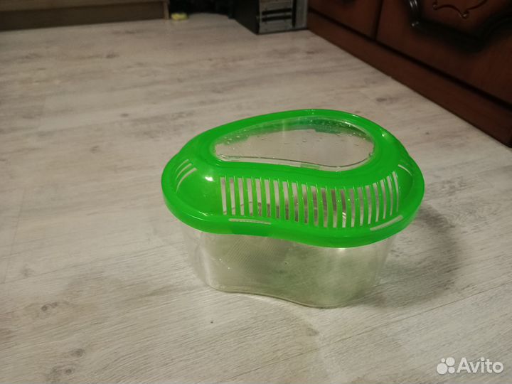 Переноска для черепашат