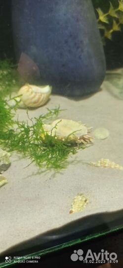 Наполнение для аквы (кварцевый песок)