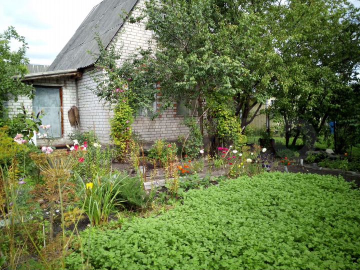 Дача 30 м² на участке 5,6 сот.