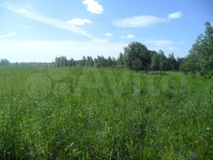 Участок 30 сот. (СНТ, ДНП)