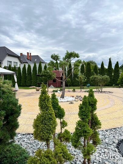 Декоративные камни