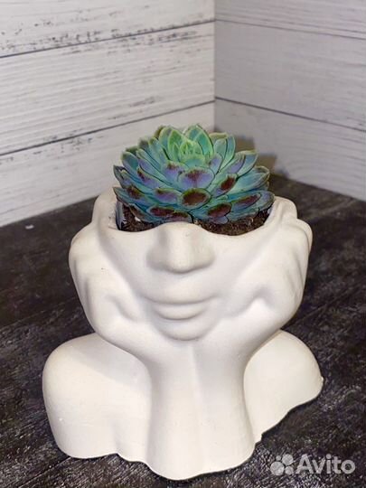 Статуэтка из гипса с цветком