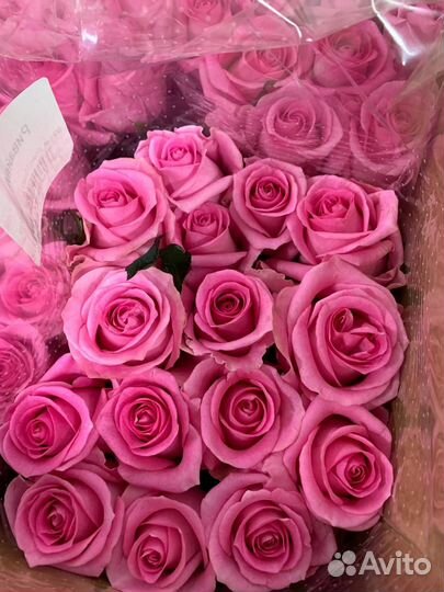 Цветы оптом - розы оптом