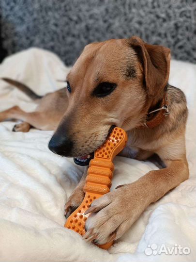 Меня предали