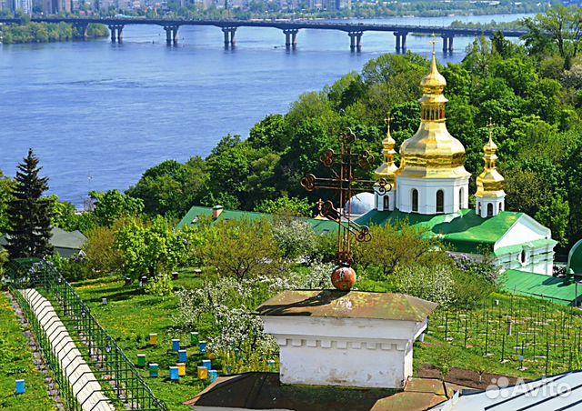 Королевы и семьи для пасеки. В наличии и под заказ