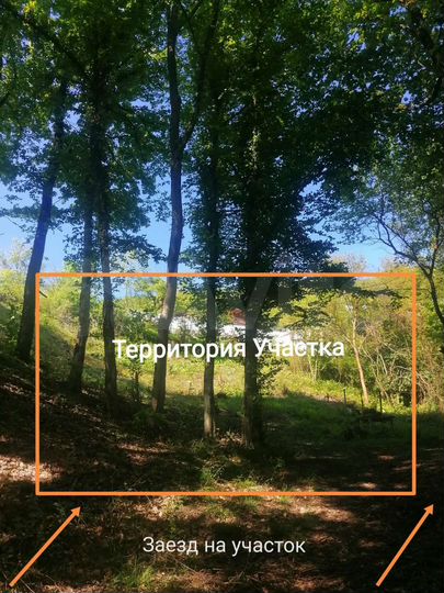 Участок 8 сот. (СНТ, ДНП)