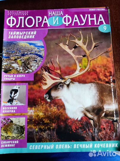 Наша флора и фауна