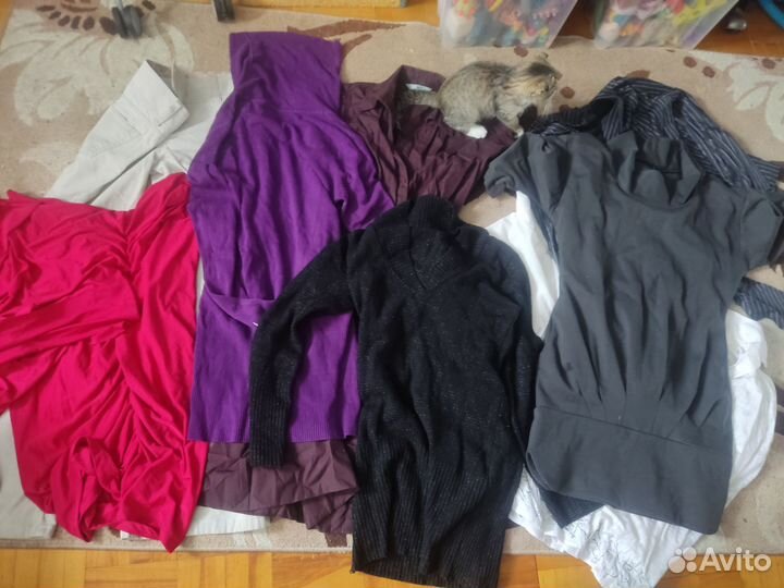 Женские вещи 44-48