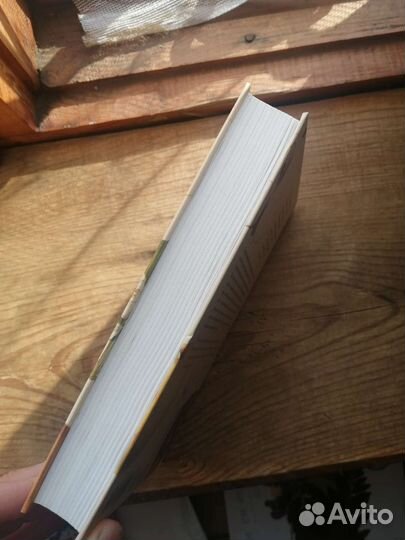 Марина Степанова - Сад