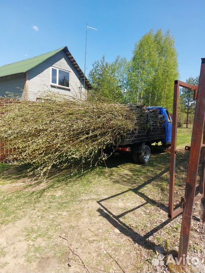 Благоустройство хоз.работы