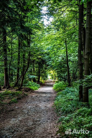 Кадастровые/геодезические работы