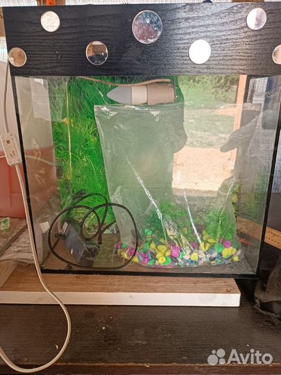 Аквариум
