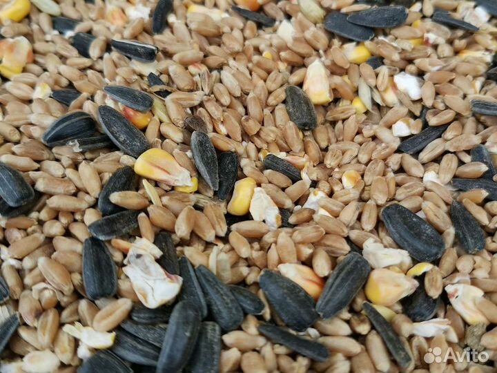 Доставка кормов по Серпухову и Серпуховскому р-ну