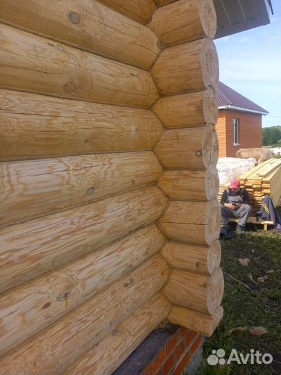 Конопатка сруба