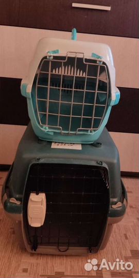 Переноска в аренду