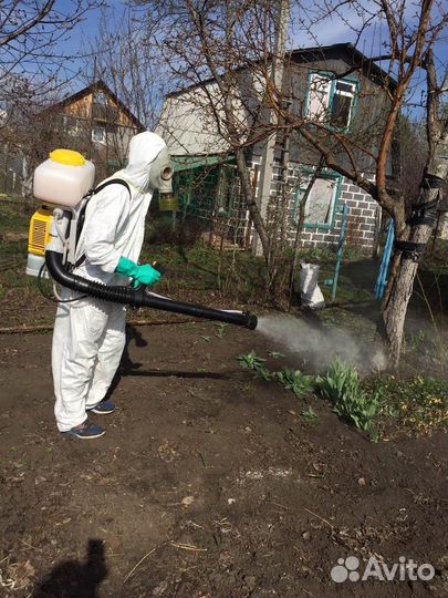 Уничтожение клещей кротов комаров ос борщевика