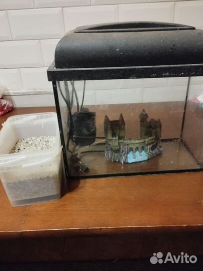 Аквариум