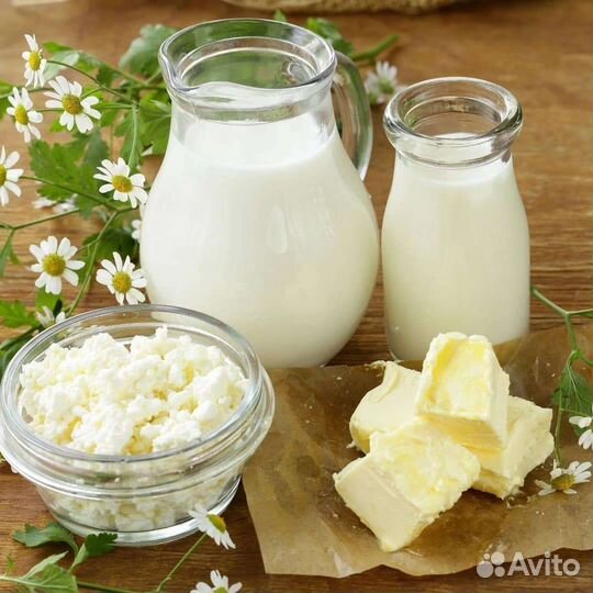 Молочные продукты