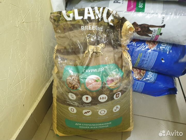 Корм для кошек