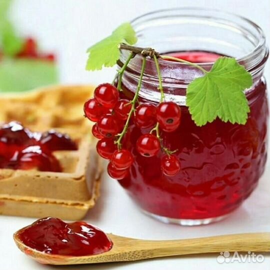 Домашние заготовки