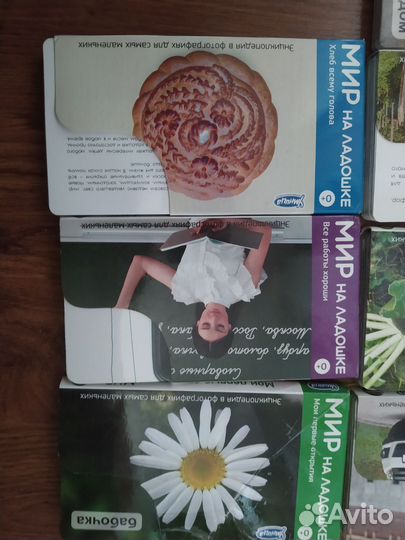 Мир на ладошке Умница карточки развивашки