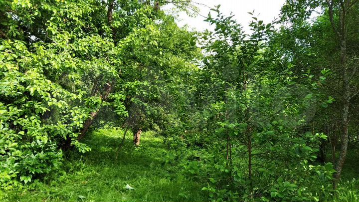 Дом 53,2 м² на участке 37 сот.