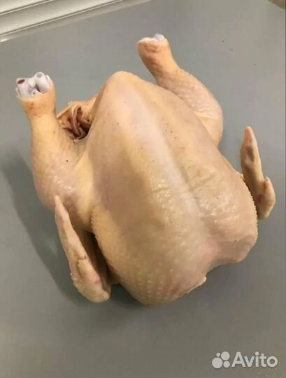 Мясо домашней птицы
