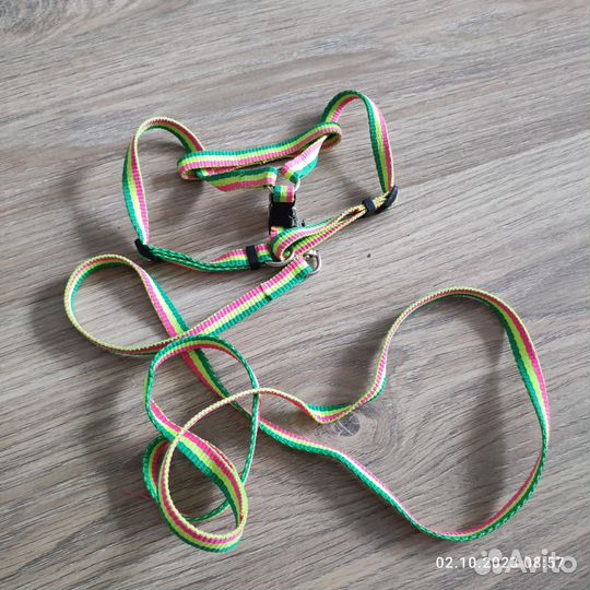 Шлейка для кошки