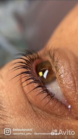 Ламинирование ресниц + ботокс