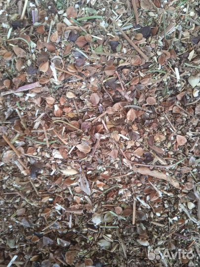 Корма для сельскохозяйственных животных