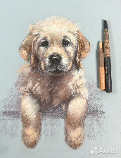 Портрет вашего питомца по фото на заказ