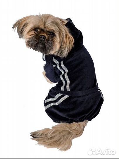 Костюм для собаки