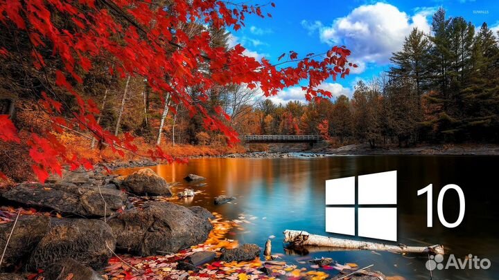 Ключ - WindowS 10/11 PRO/home