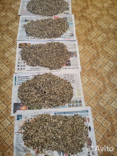 Грунт для аквариума