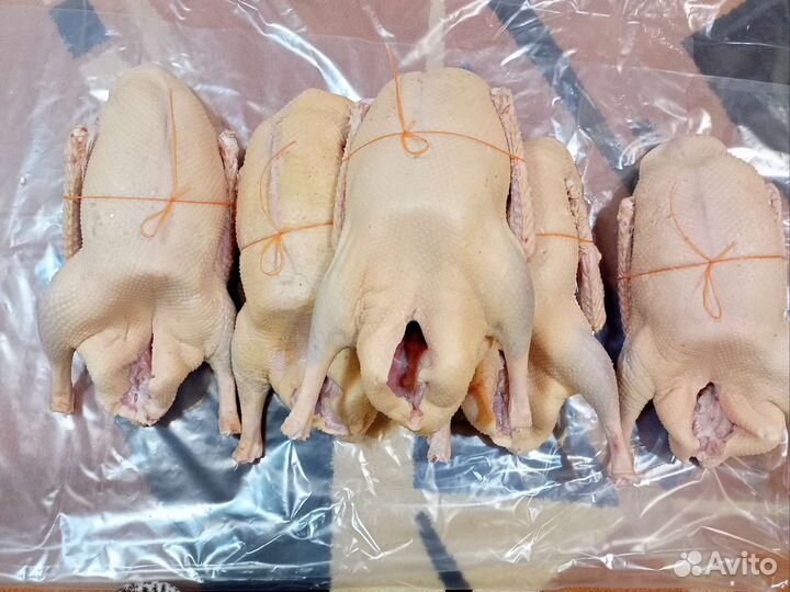 Гусь халяль