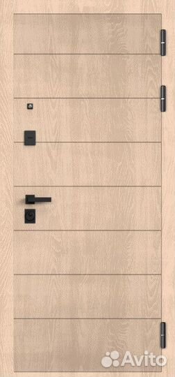 Дверь входная металлическая в квартиру