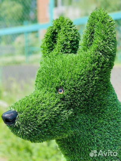 Фигура топиари, Немецкая овчарка