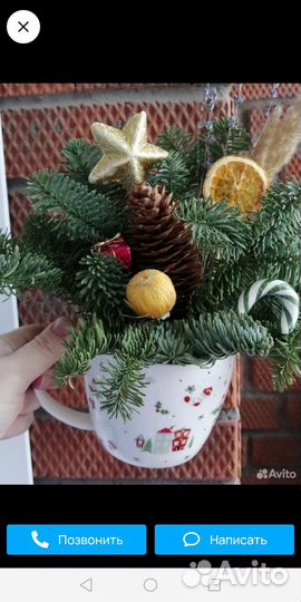 Набор шишек 10 шт. еловые,сосновые. Можно поштучно