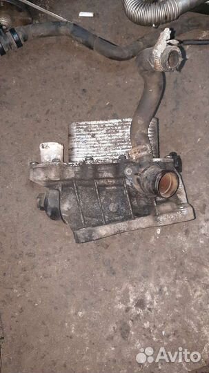 Мастер 3 Корпус масляного фильтра теплообменник