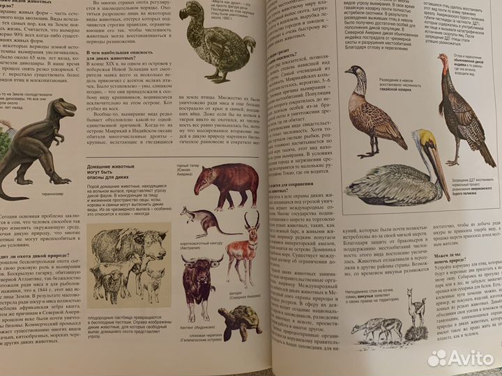 Азбука природы