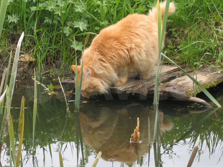 Гараж, 15 м²